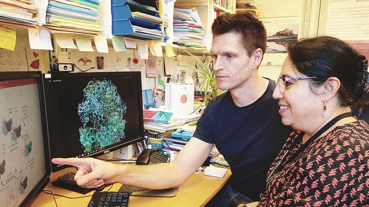 Professor Suparna Sanyal and PhD student Andrew Emmerich discussing different states of protein synthesis in Giardia intestinalis. Credit: Arindam De Tarafder 