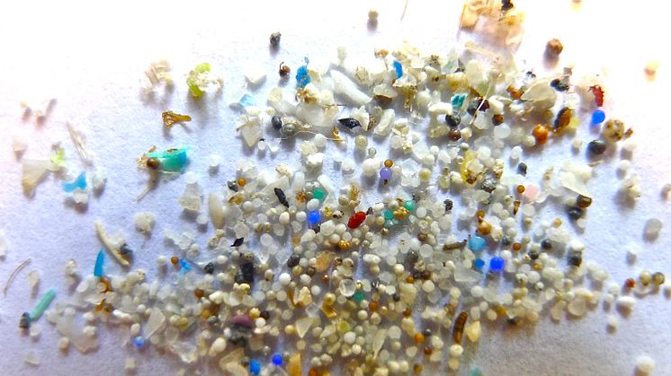 Microplastics are tiny plastic particles which originates from household articles, industrial processes and degeneration of plastic products. (Photo: Oregon State University)