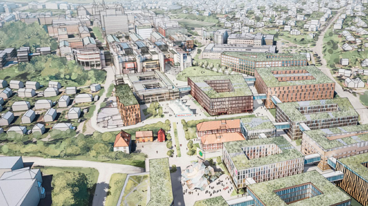 Forslag til fortetning av Campus NTNU - Trondheim med omfattende bruk av grønne tak. Illustrasjon: Eggen Arkitekter