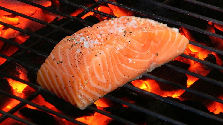 Salmon exports stabilize in May 