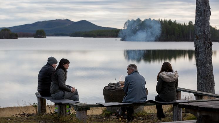Arctic Camp Jokkmokk är campingplatsen som är ett med skogen och älven. Foto: Maria Klang