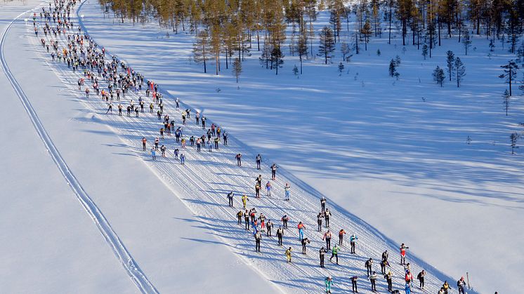 Redan 50 000 anmälda till Vasaloppets vintervecka 2014