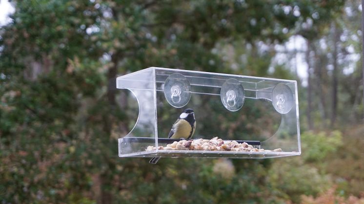 Fågelmataren är helt transparent och du får en utmärkt vy när fåglarna plockar på sig mat.