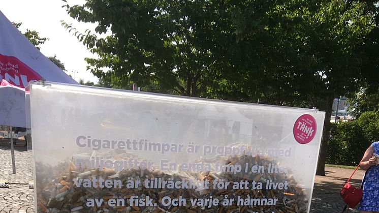 Fimpfångsten från sommarens Fimpkamp under Gothenburg Cultural Festival. Foto: Mårten Heslyk Städa Sverige