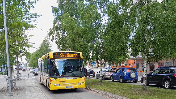 Från 14 juni gäller sommartidtabell för Piteås bussar. Foto: Jonathan Kidane