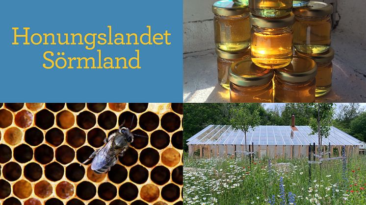 Honungslandet på Osprey Farm i Sörmland