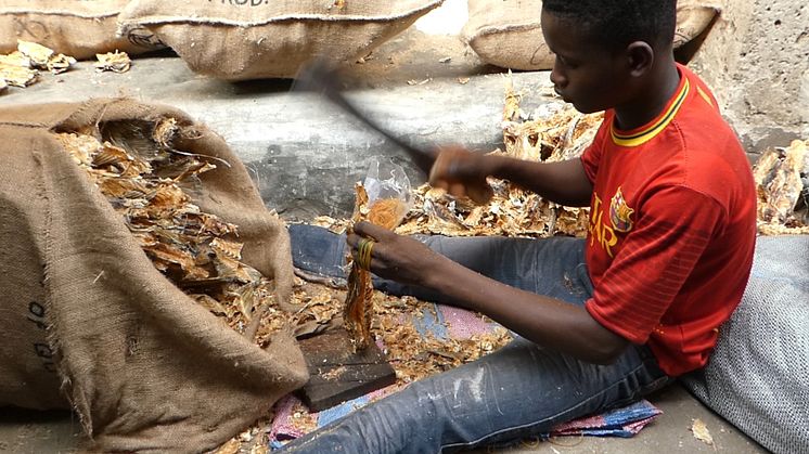 Norsk tørrfisk på marked i Lagos