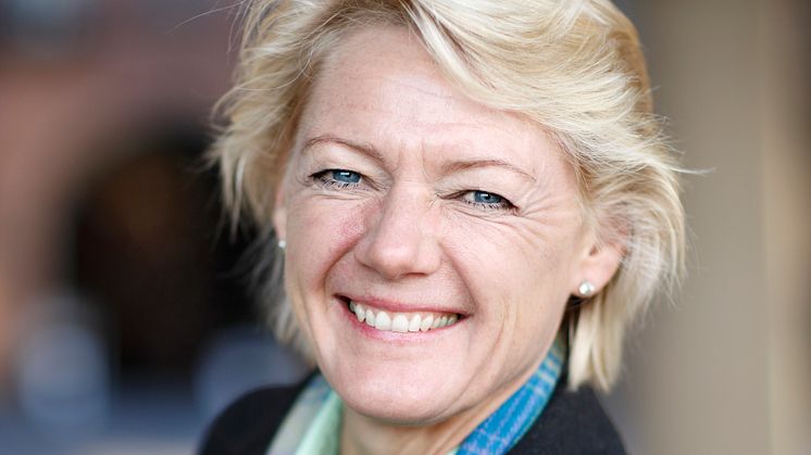 Ulla Hamilton: En trygg, ljus och miljövänlig julbelysning i Stockholm i vinter