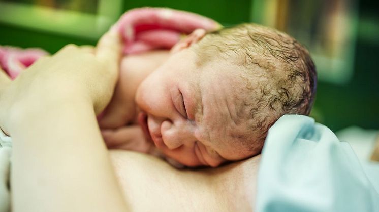 Förlossningen och neonatalavdelningen på Falu lasarett medverkar från nästa vecka i en studie för att utvärdera sen avnavling vid akut omhändertagande av nyfödda barn. 