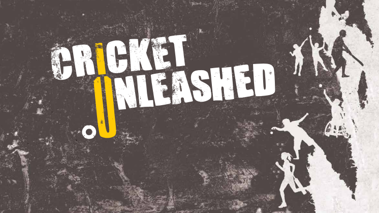 Cricket Unleashed - Detailed Plan