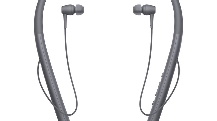h.ear in 2 Wireless (WI-H700) 