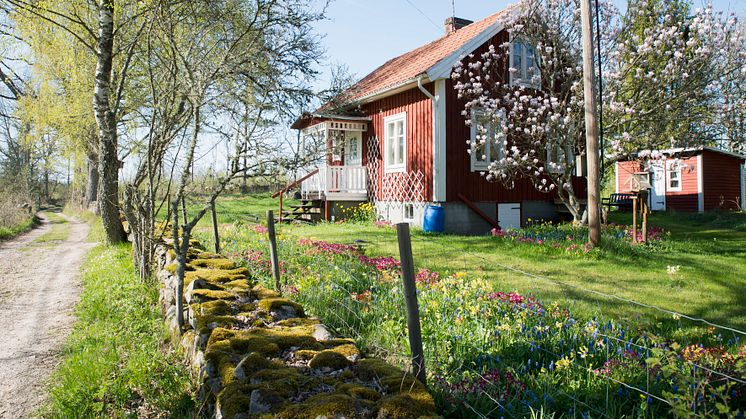 Fritidshusen har blivit svenskarnas andra hem: Här hittar du rätt område inför kommande säsong