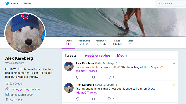 A screenshot of the Twitter account of Alex Kaseberg