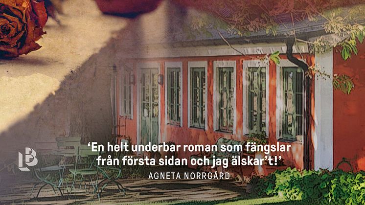 Den 27 april 2022 släpps Anne-Lie Högbergs femte roman, Breven som länkar oss samman (LB Förlag).