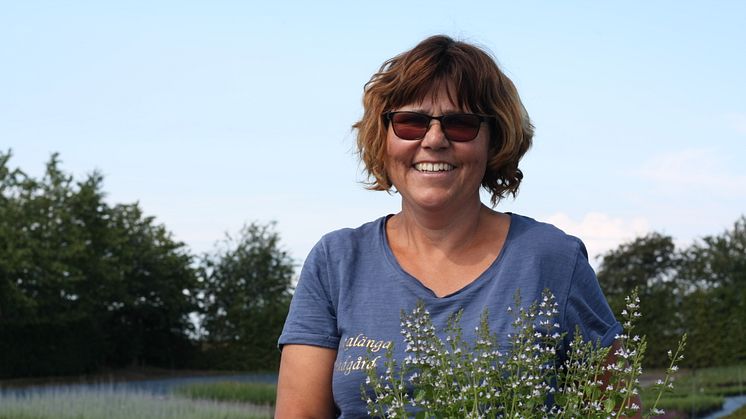Lena Holgersson älskar sin perenner och odlar en mångfald av olika sorter på sin och maken Mats gård Lackalänga i Skåne.  Foto Lotten Lundgren