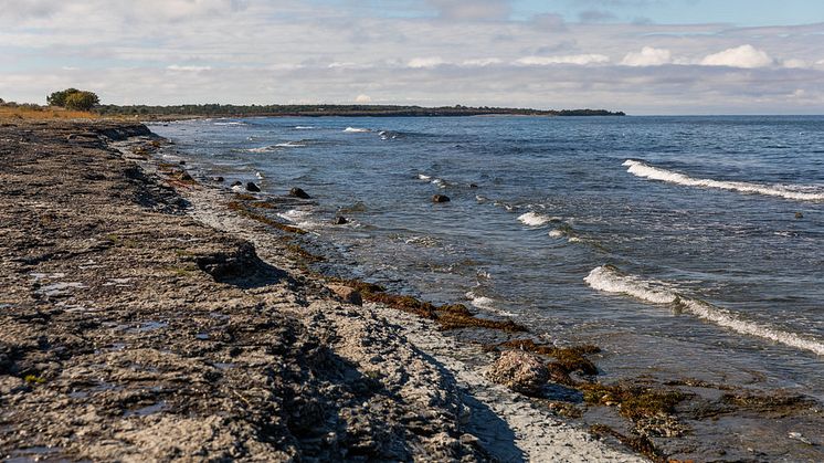 Havs- och vattenmyndigheten, HaV, föreslår nu en rad åtgärder för att få en bättre havsmiljö i Östersjön och Nordsjön.