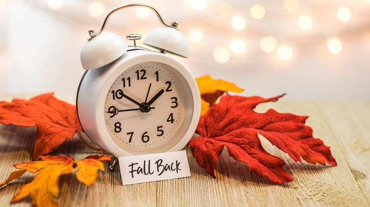 Fall back to a previous time (by one hour)