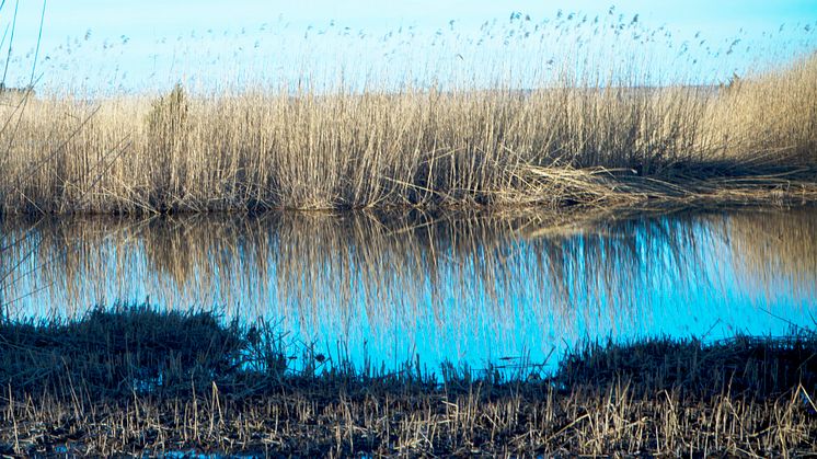 Ny HaV-rapport visar: Gamla bekämpningsmedel kvar i Sveriges grundvatten
