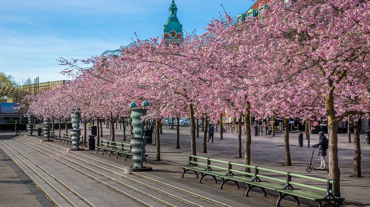 Nola's backed benches in Kungsträdgården in Stockholm.