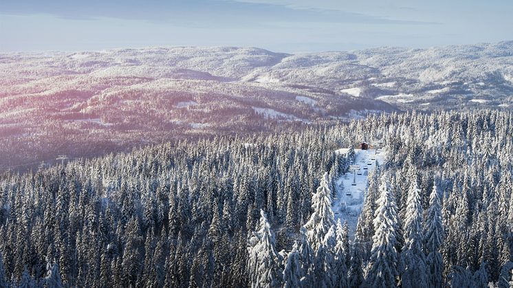 Norges beste priser på sesongkort, sør for trøndelag finner du i Oslo Vinterpark. Foto: Oslo Vinterpark/ Kyle Meyr