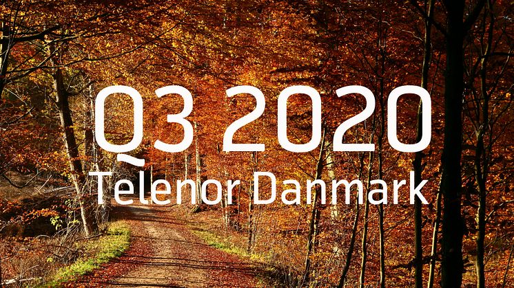 Telenor Danmark leverer fortsat kundefremgang