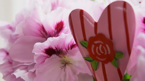 Blomstrande kärlek –  Allas hjärtan i kruka den 14 februari