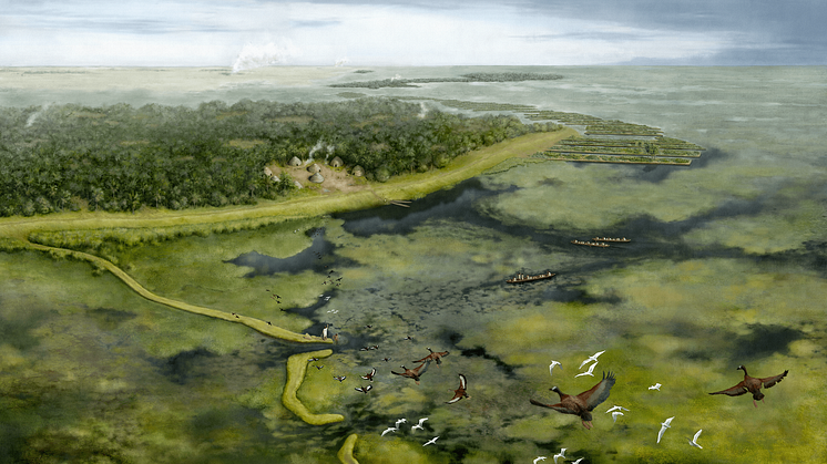 Study sheds light on pre-Columbian life in understudied area of Amazon
