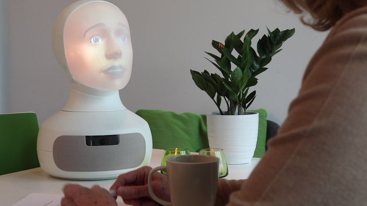 Tengai - the world's first social job interview robot