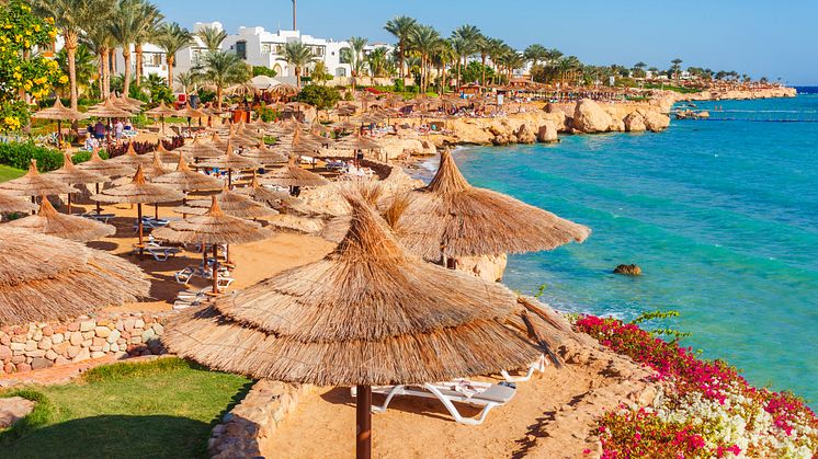 Sharm el Sheikh er kendt for de lækre strande, krystalklart badevand, gode hotelfaciliteter og, ikke mindst, spændende seværdigheder over og under vand.