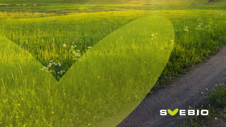 Färdplan Bioenergi – Så möter vi behovet av bioenergi för fossilfritt Sverige