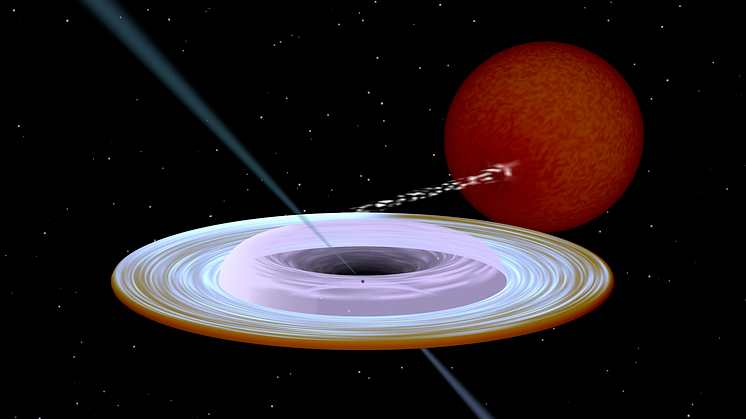 Illustration av en röntgenbinär med ett svart hål (den lilla pricken i mitten av ansamlingsskivan). Jetstrålen, riktad längs det svarta hålets rotationsaxel, skiljer sig mycket från omloppsbanans rotationsaxel. Bild skapad med Binsim (R. Hynes).