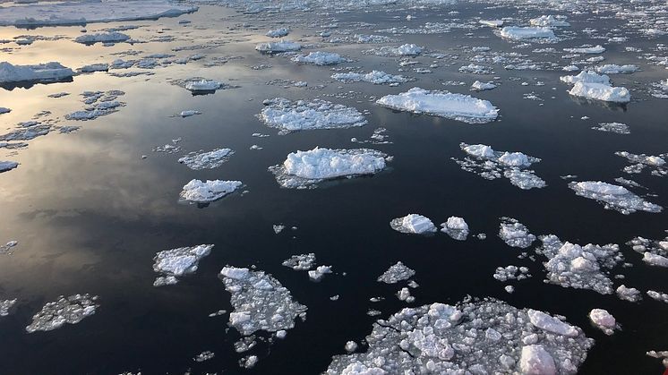Bild från Weddellhavet i Antarktis som nu inte får marint skyddat område. Foto: Thomas Dahlgren 