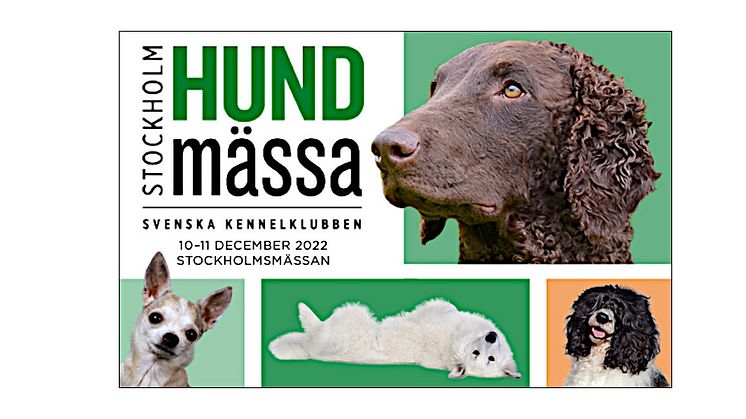 Välkommen till Stockholm Hundmässa på årets hundfest!
