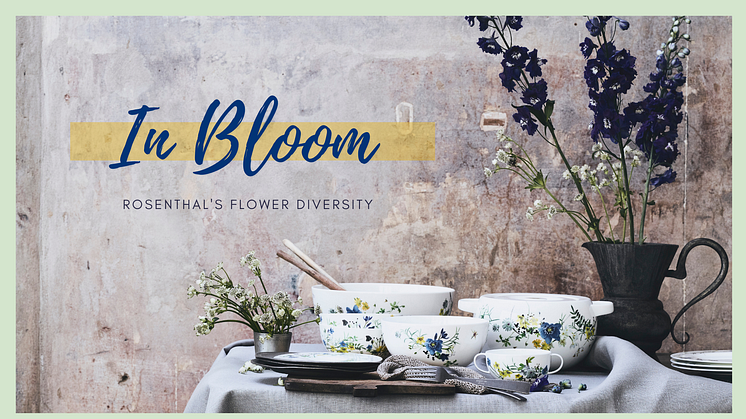 In Bloom: Rosenthal's colourful flower diversity