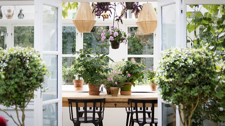 Uterum är sköna platser på våren, för både människor och växter. Bild: Pelargonium for Europe