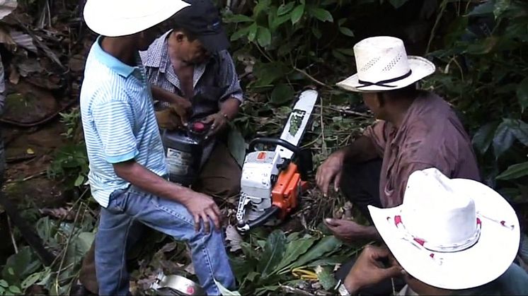 Elskov bevarer regnskoven i Honduras