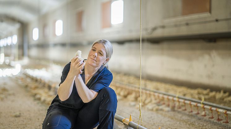 Jenny Andersson, omvald ordförande och kycklingbonde, Svensk Fågel