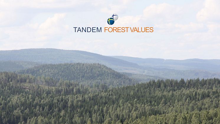 Nio nya skogsforskningsprojekt i Sverige och Finland finansieras via Tandem Forest Values.
