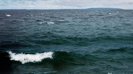 HaV stänger laxfiske i Östersjön - kvoten är uppfiskad