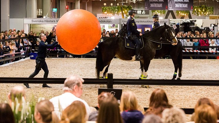 Nyheterna gick hem – ännu en succé för EuroHorse och Gothenburg Horse Show