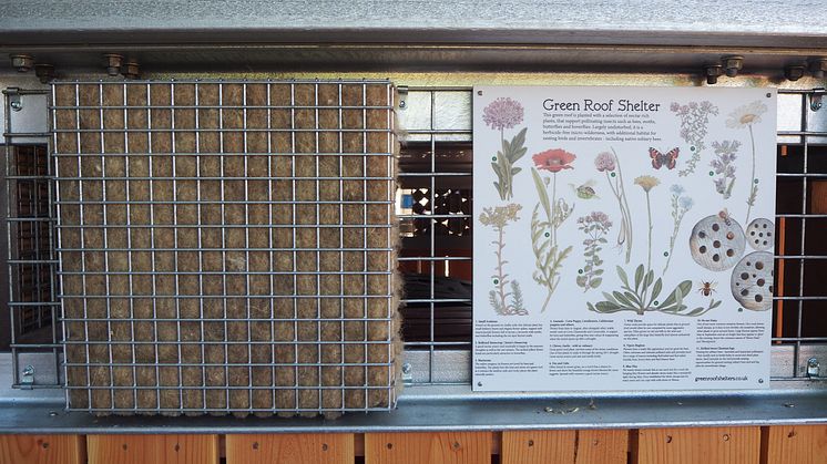 Green Roof bin store plant information panel