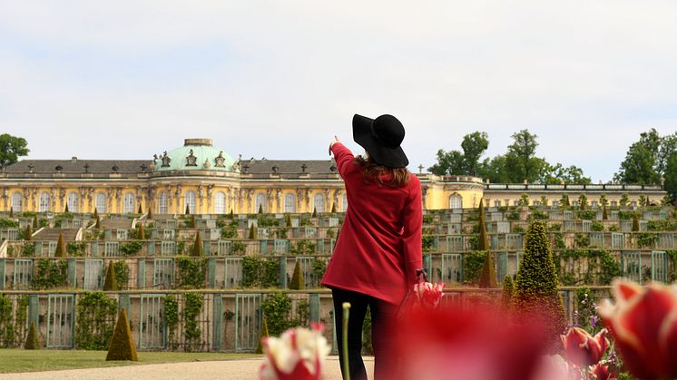 Schloss Sanssouci im Frühling