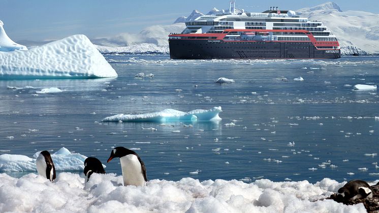 Antarctica_AM_Pinguins©Hurtigruten