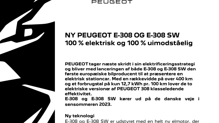 CP_PEUGEOT_E-308 og E-308 SW.pdf