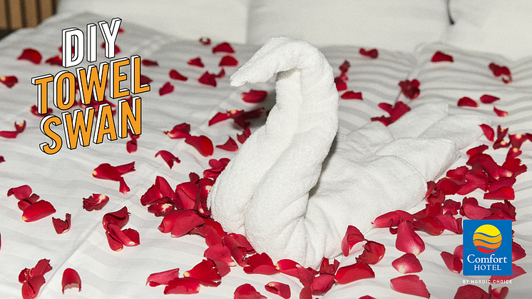 Comfort Hotel DIY Towel Swan