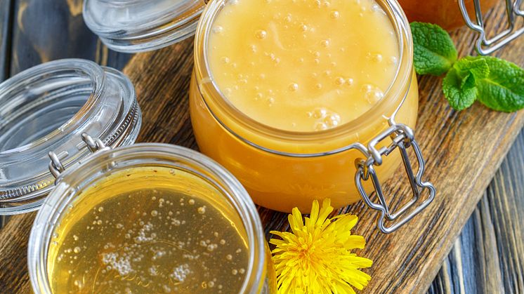 Kvalitén på svensk honung stärks ytterligare
