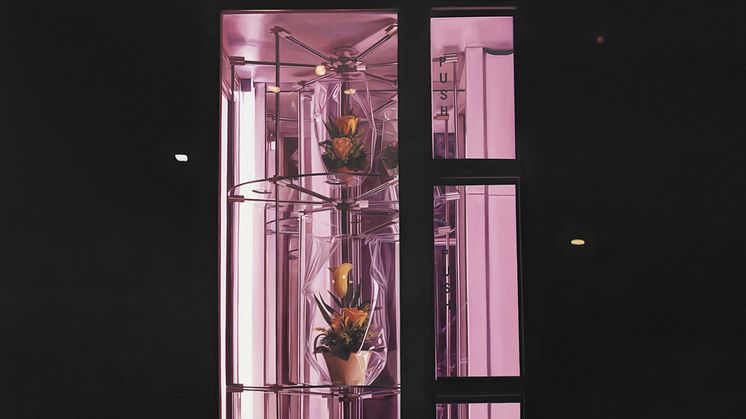 Till Rabus, Automate à fleurs / flower night-dispenser, 2009