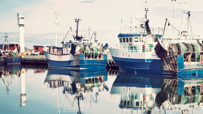 Ny studie från HaV: Överetablering av företag i svenskt fiske