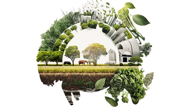 Vera Sadovskas avhandling tar upp hållbar utveckling i lantbruksföretag. Omslagsillustration: Sustainable agricultural business. AI-genererad, Midjournal.
