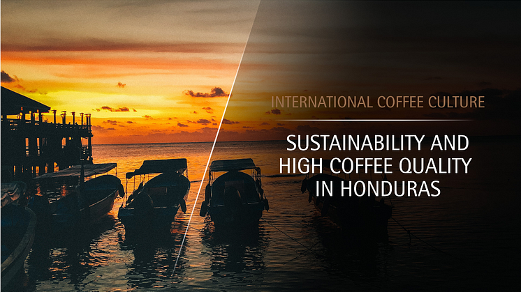 Nachhaltigkeit und Spitzenqualität – Kaffeekultur in Honduras